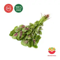Buy Bayam Spinach Online Lazada Sg