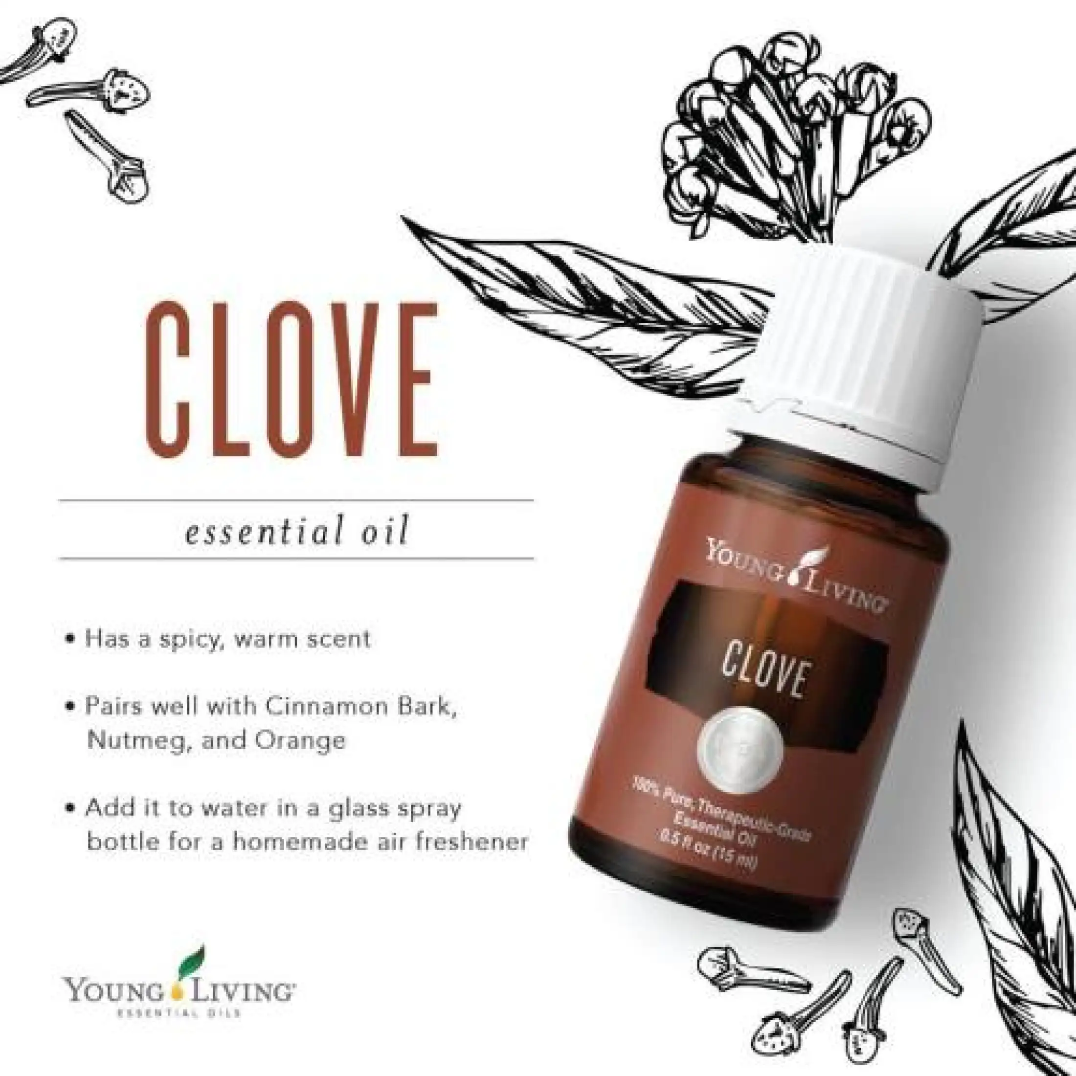 Young Living Clove Essential Oil 15ml Lazada Singapore